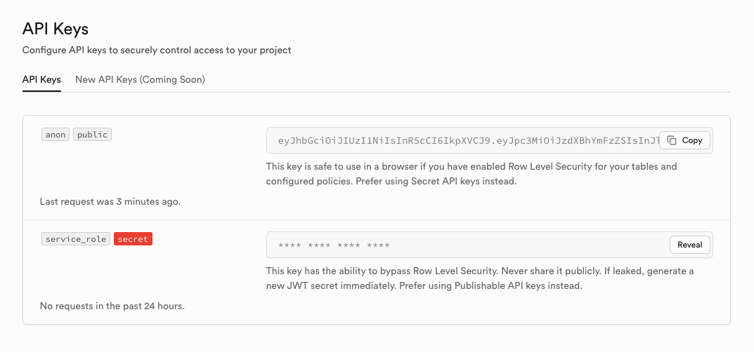 API Key Screenshot